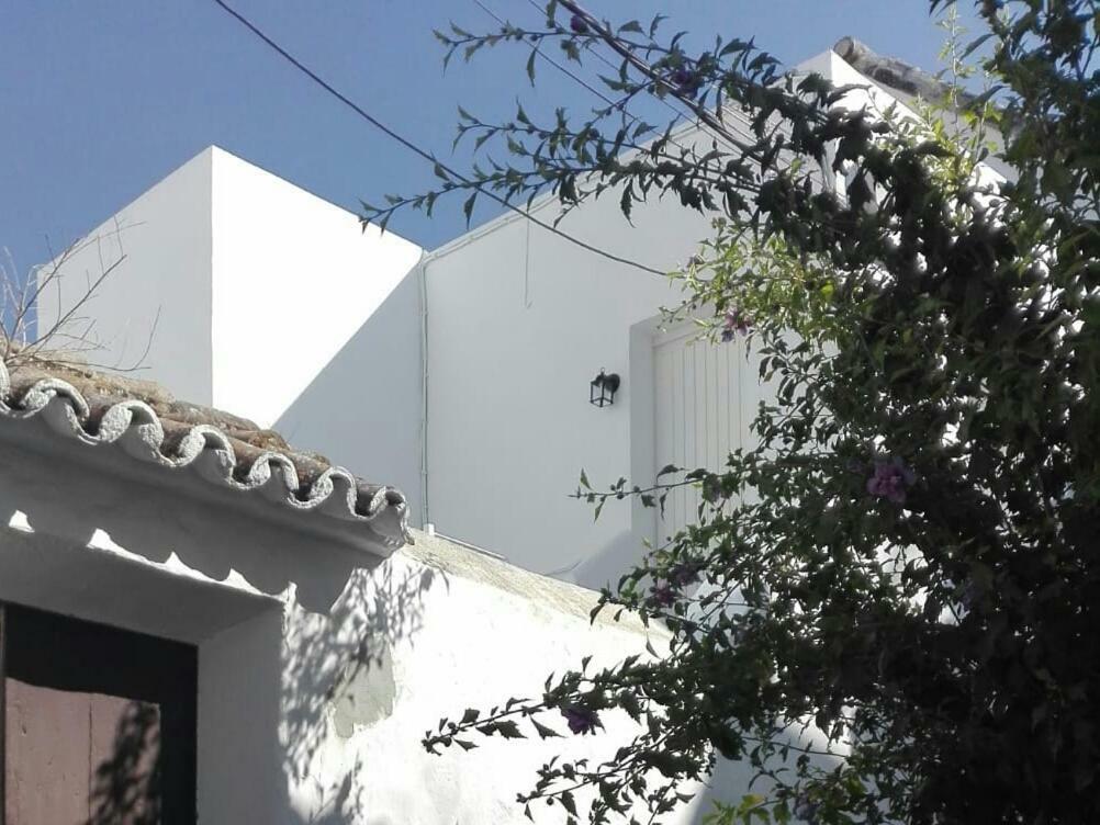Casa Patio Paraiso مْبيخير ذي لا فرونتيرا المظهر الخارجي الصورة